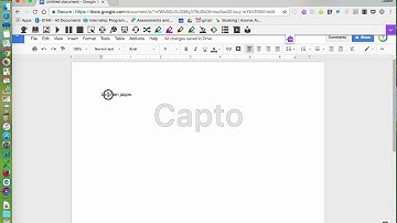Options for French   Google Read&Write   Leann Laframboise