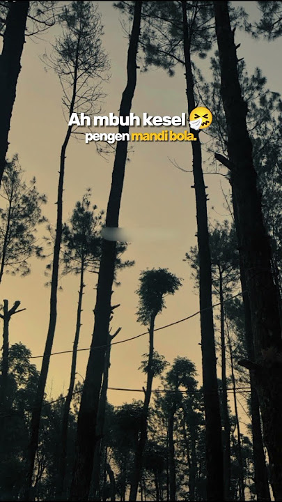 ws mbuh boy pegel kabeh #shortvideo #shorts #short #fyp #fypシ゚viral #storywa