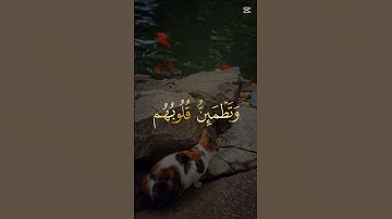 ياسر الدوسري تلاوة خاشعة مؤثرة مبكية #المصحف #اكسبلور #holyquran #elmulquranعلم #اكسبلور #المصحف