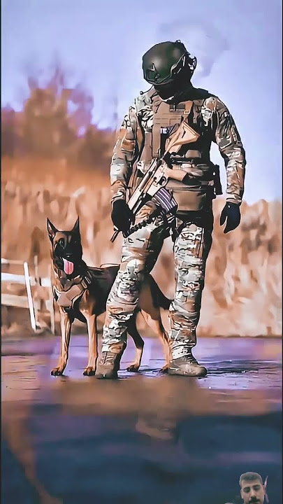 Train dog #army #military #indianarmy #specialforces #commando #music #edm #remix #bass #dj