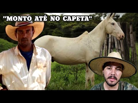 Sertanejo Raiz O Peão Que Montou No Diabo Pedro Bento e Zé da