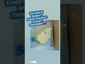 Из Бухары привезла немного халва буду раздавать^^
