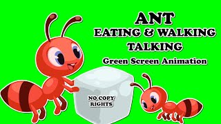 Ant Walking, Talking & Eating Green Screen Animation #Ant walking #Anttalking #Anteating