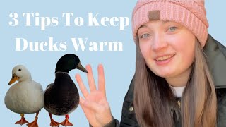 How To Care For Chickens & Ducks In Unexpected Cold Temperatures