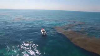 Coffin Patch Reef