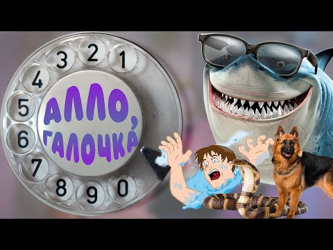 Алло, Галочка? #6(32)