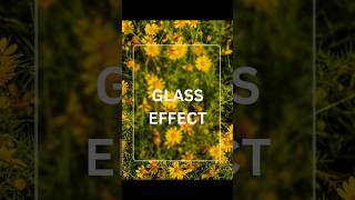 Secret Canva App for Instant Glass Effects! 💎 #Canva #CanvaTutorial