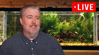 Cycling your aquariums with live aquarium plants - Episode 301