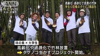 高齢化・過疎化で放置の竹林　学生ら収穫のタケノコ商品化(2023年6月8日)