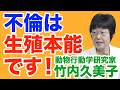 【竹内久美子】不倫は文化？いいえ、生殖本能です！【WiLL増刊号＃237】