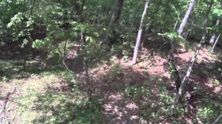 Single Track Dirt Bike Yz250 Beech Fork Prices Creek Lavalette Wv
