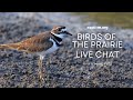 Birds of the Prairie Live Chat | Explore Live Events