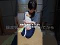 2年前に保護犬の譲渡会で家族になってから間もなくの頃のラブ柴の様子 #ラブラドール #柴犬 #shorts