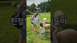 제주, 바다가 들려주는 노래