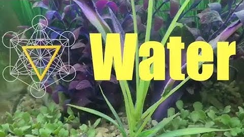 Water