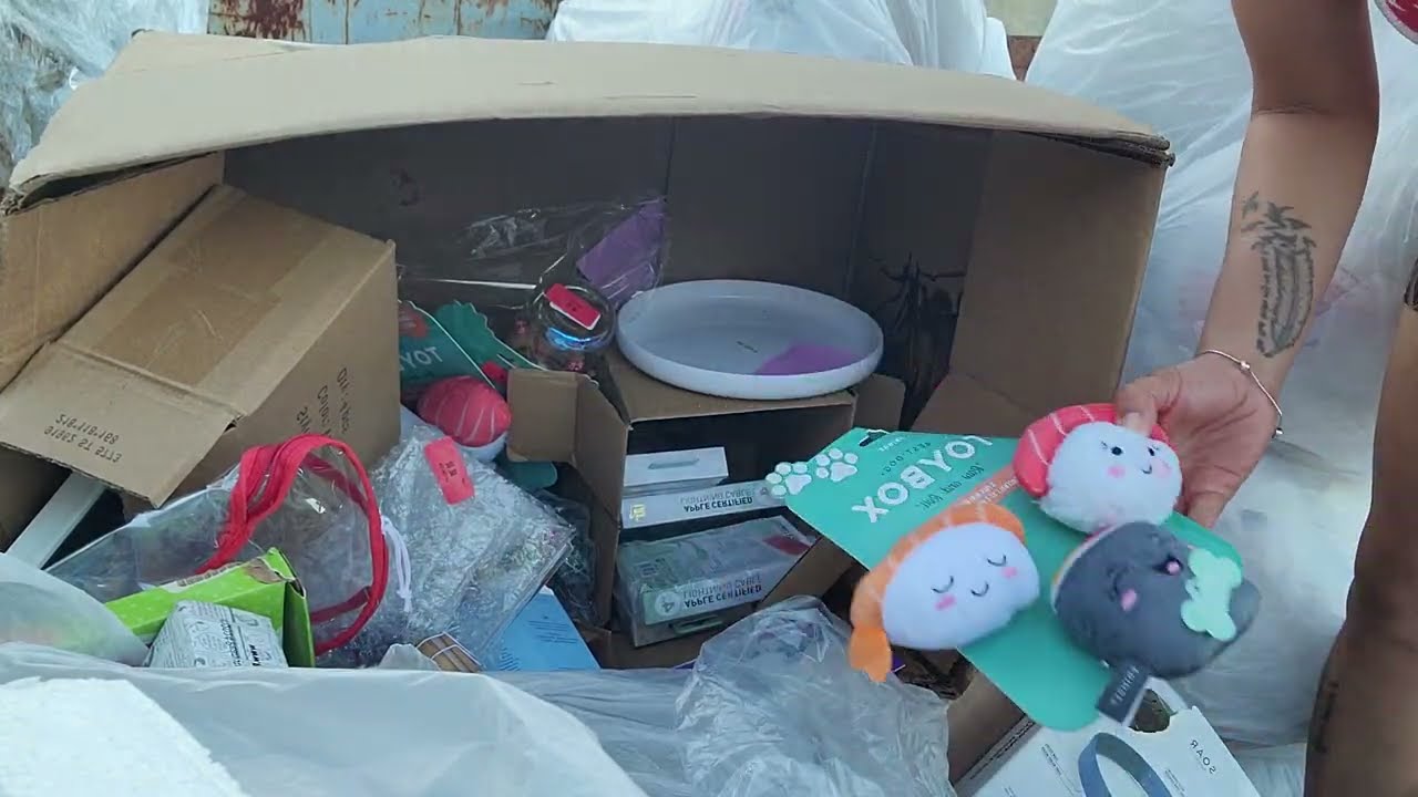 Mega dumpster,hakotin natin at kalkalin ang dami maganda