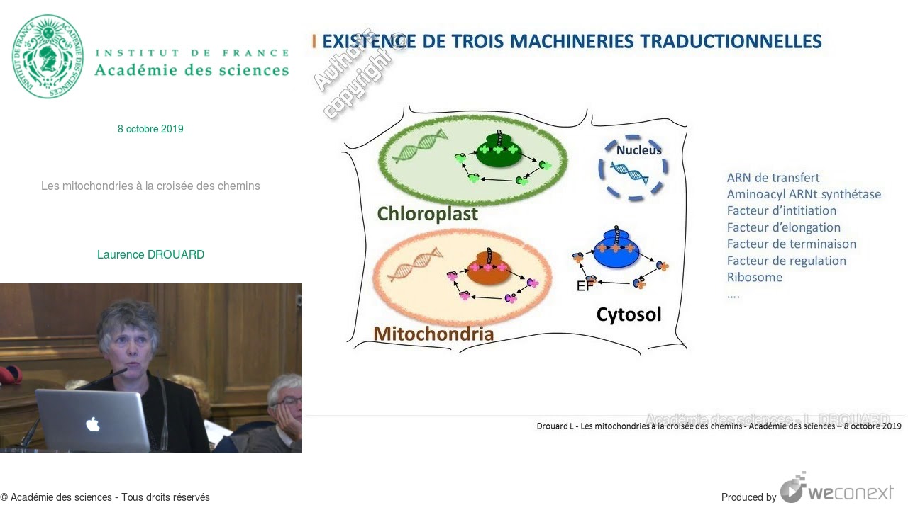 [Conférence] L. DROUARD – Les mitochondries à la croisé… — Transcript
