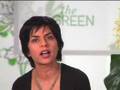 THE GREEN Editorial 03