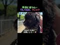 危ない 車道の 上の ワンコ… 飼い主を待ってたのかな…?