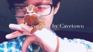 Fireflies( covered by Cavetown)