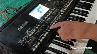 New indian style KORG Pa300 Pa600 