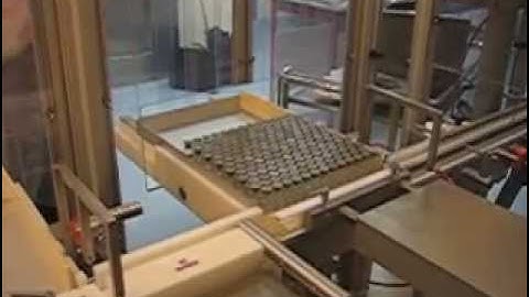 Vial Tray loading Machine - RAUPACK