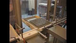 Vial Tray loading Machine - RAUPACK