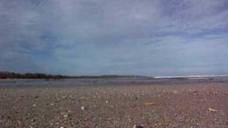 Costa Rica Tamorindo River And Beach