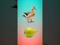 Smile and Guava Shadow Matching Challenge #chllenge #shadow #guava #smile #viral