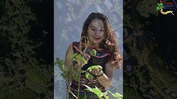 LỄ HỘI VĂN HÓA SÂM NGỌC LINH