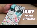 1557 Stickers! The Happy Planner "SEASONAL" Value Pack Flip-Through