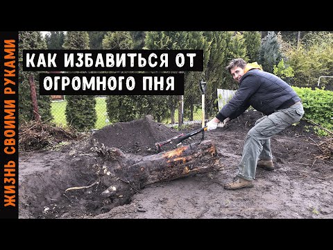 Выкорчевать пень своими руками