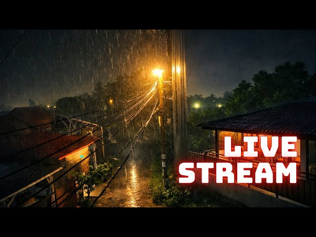 Rain  Sound For Sleeping in Rooftop ASMR (Insomnia)