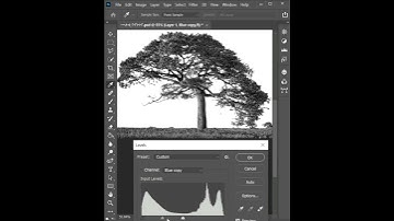 How to remove tree Background | Photoshop Tutorials #short
