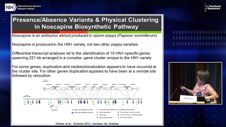 Plant genome dynamics: challenges and opportunitie...