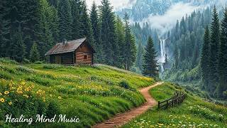 Relaxing Music 🌿 Soft Piano Music and Gentle Nature Sounds for Calm Mind & Finer Inner Peace screenshot 3