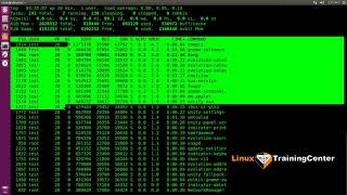 1.9 Команда top для управления процессами | Linux для начинающих