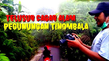 Ekstrim||Menantang jalan berkabut Cagar Alam Pegunungan Tinombala
