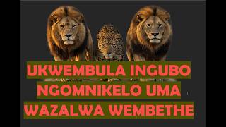 Ukwembula ingubo ngomnikelo / ngokunikela uma wazalwa wembethe