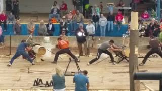 Two Man Crosscut Competition - Stihl Timbersports