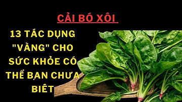 Cải bó xôi có tác dụng gì? 13 tác dụng của cải bó xôi có thể bạn chưa biết