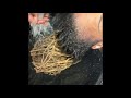 SHAMPOOING YOUR DREADS / LOCS ... AT HOME CARE