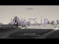 Miniature de la vidéo de la chanson What's Up (What's Going On)