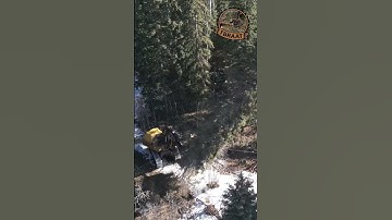 Machine fells tree in seconds! #machine #working #tigercat #logging #work