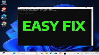 Celebrity Fix Updates Are Underway Please Keep Your Computer On 2024 Net Worth