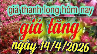 Giá Thanh Long Hôm Nay Ngày 1442026