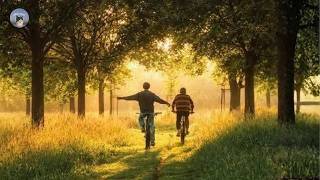 the summer i turned 15 - a playlist
