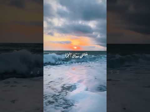 بما إنك سر سعادتي عمرو دياب 