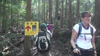 Kunisaki Walk Japan Oct 2014 006
