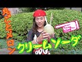 【アイス屋巡り】秋葉原でしか食べれない！　夏限定のメロン丸ごとクリームソーダ